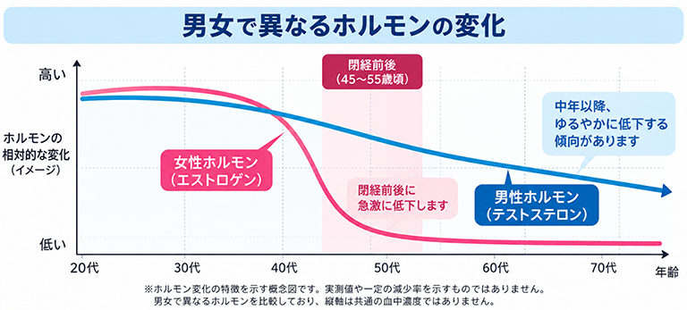 男女で異なるホルモンの変化